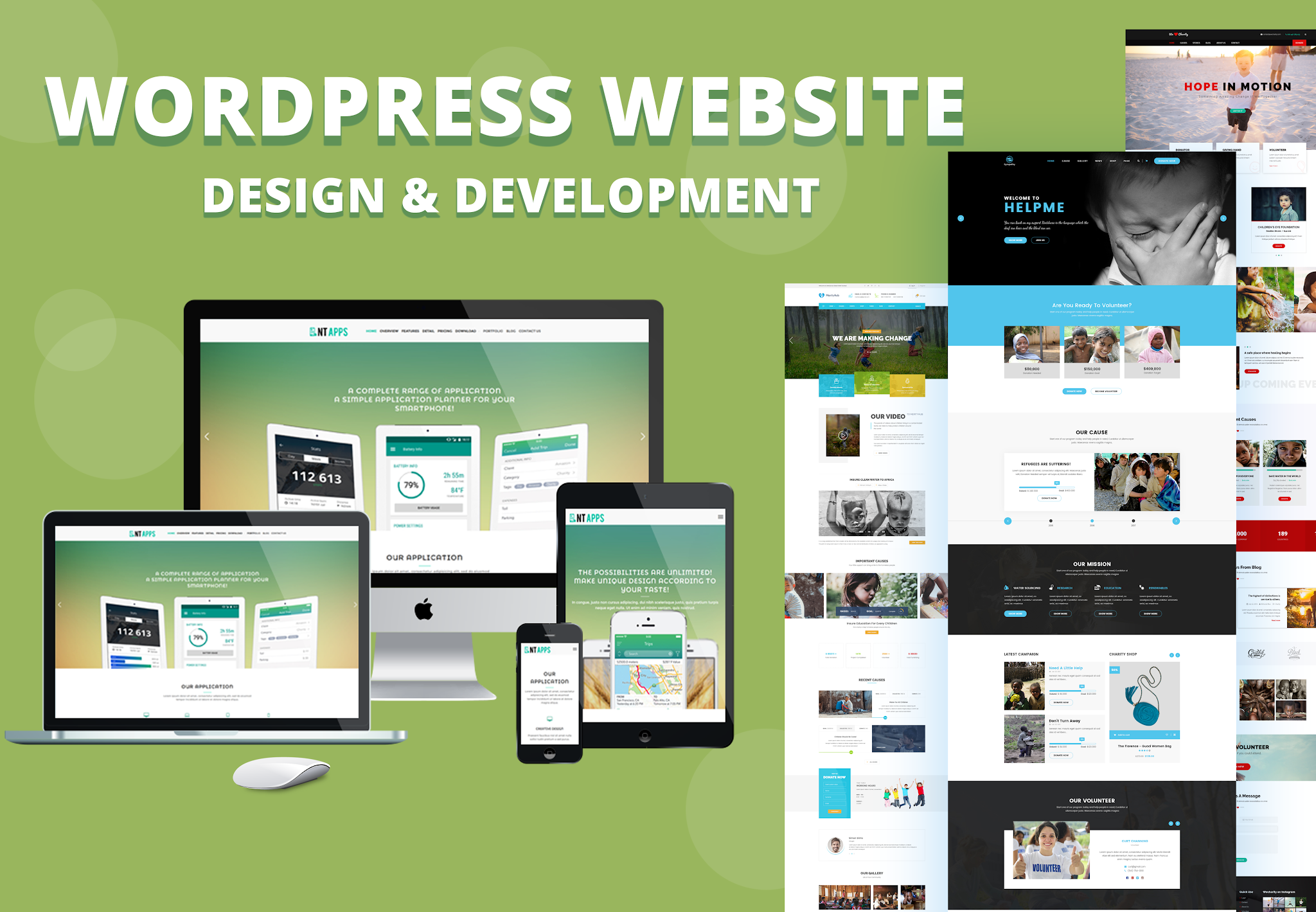projectImages